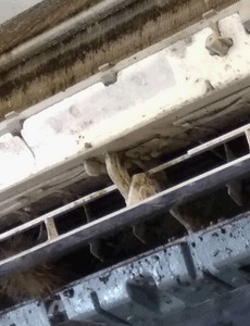 高雄小港冷氣保養, 高雄小港空調保養維修